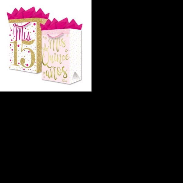 BOLSA GDE. XV AÑOS DIPAK PZA